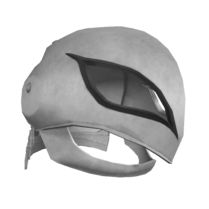 Warrior Helmet