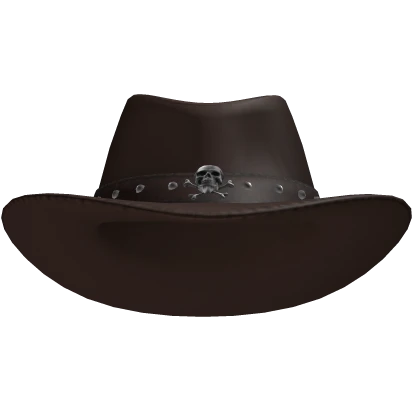 Brown Cowboy Hat