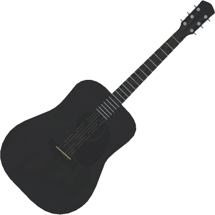 Black Acoustic Guitar