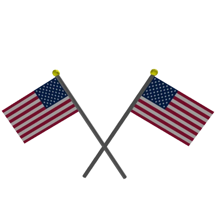 Dual American Flags