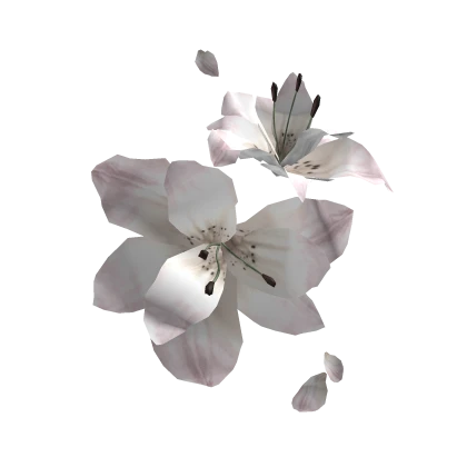white lily flower eyepatch ❀