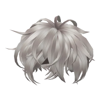 Messy Silver Hair_564FAE