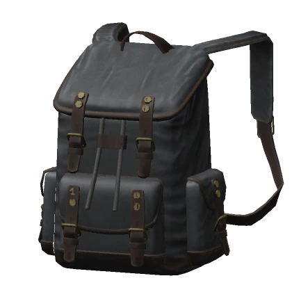 Traveler's Backpack