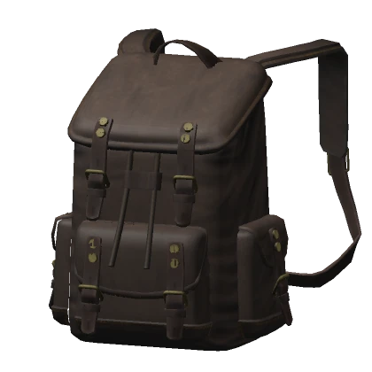 Traveler's Backpack