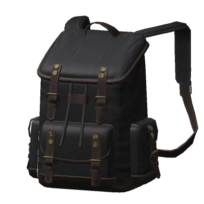 Traveler's Backpack