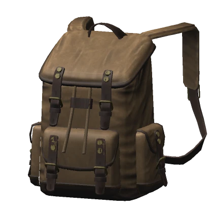 Traveler's Backpack