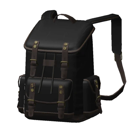 Traveler's Backpack