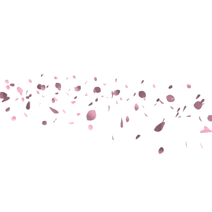 Pink Flower Petals Aura