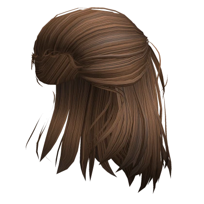Brown Half-up Hair of the Rogue Prince