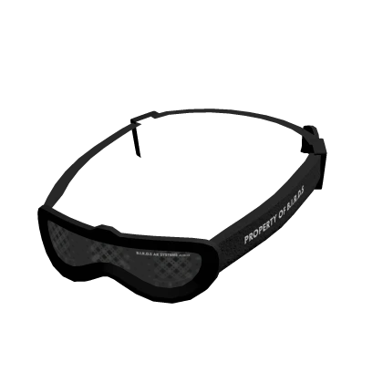 B.I.R.D.S Transparent Goggles