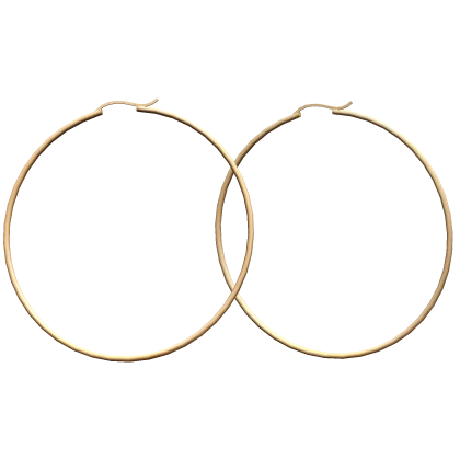 Gold Earring Hoops