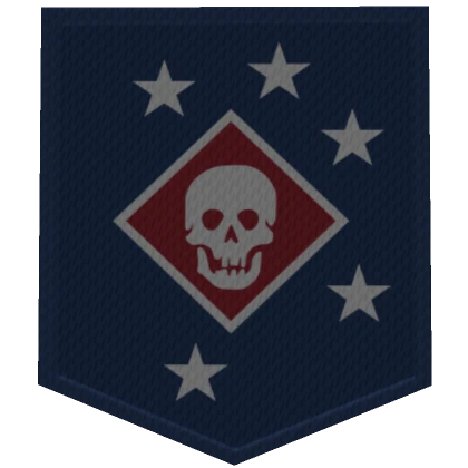 Marine Raider Plate Carrier Patch