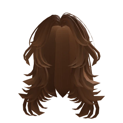Brown Fluffy Layered Hair