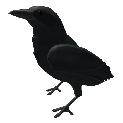 Head Crow Friend 