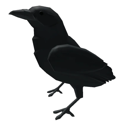 Shoulder Crow Friend