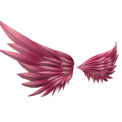 Wings