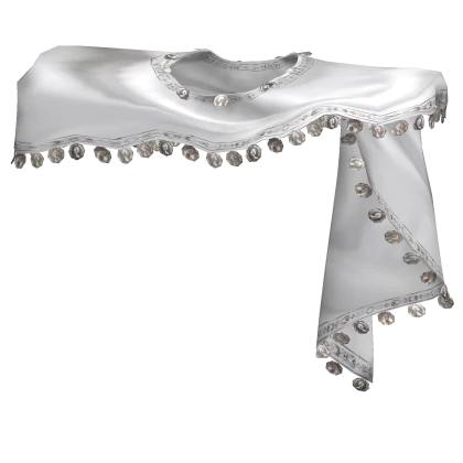 Elegant Coin Satin White Scarf 1.0