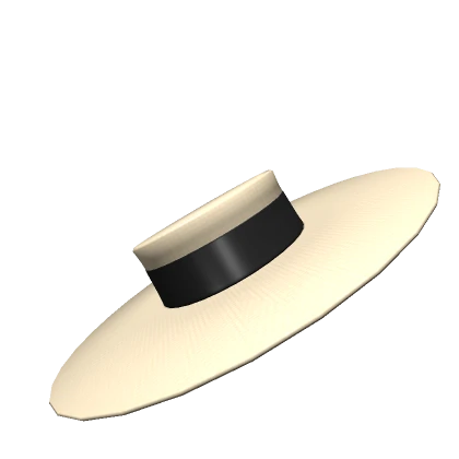 Wide Brim Boater Hat