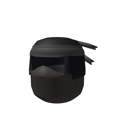 Ninja
