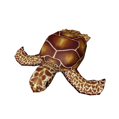 Sea Turtle