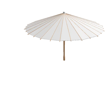 Paper Umbrella 