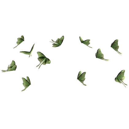 Luna Moth Butterfly Fairy Cosplay Bug Swarm