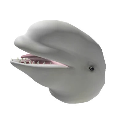 Beluga Head