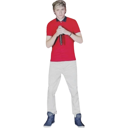 Niall Horan Back Buddy (One Direction)