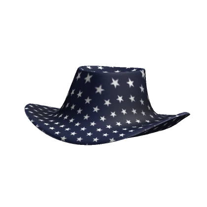 USA Cowboy Hat