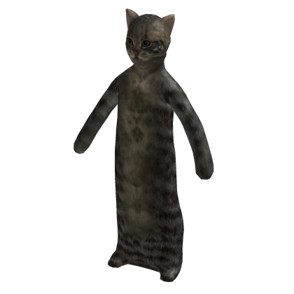 OIIA OIIA Spinning Cat Outfit