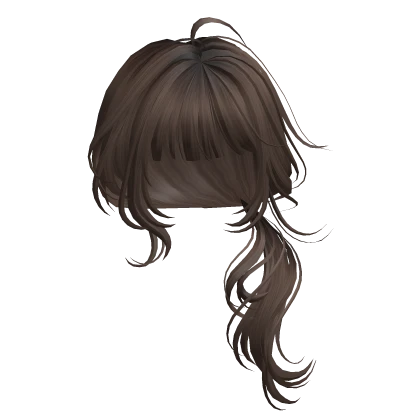 Brown Low Ponytail