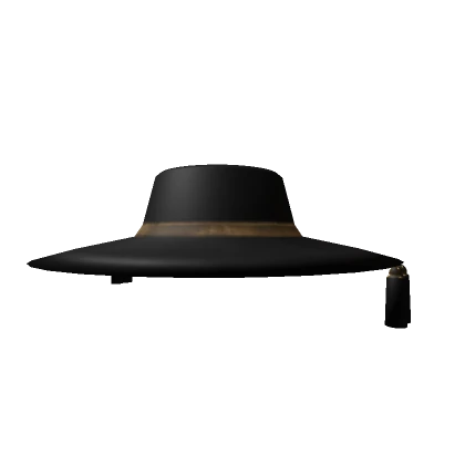 Witch Hunter's Brimmed Hat