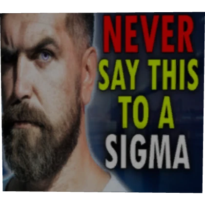 Never Say This To A Sigma