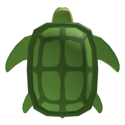 Turtle Backpack 