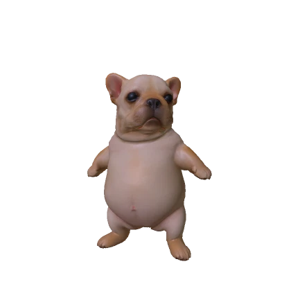 Wash My Bellay Pibble Dog