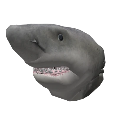 Realistic Megalodon Shark Head