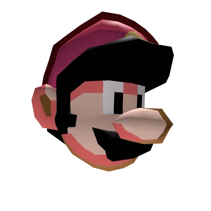 SMW Plumber