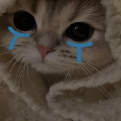 cute crying cat (profile picture)