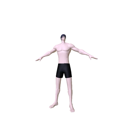 Toji Fushiguro ⭐Anime⭐