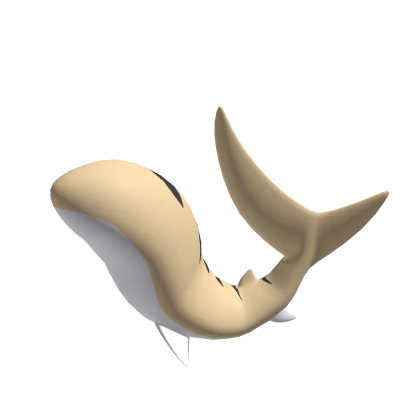 Big Shark Tail (Sand Tiger)