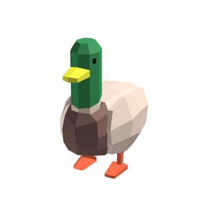 Duck