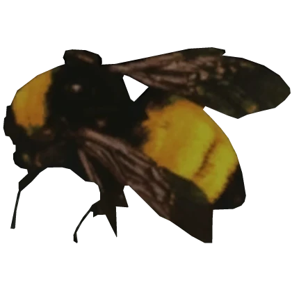Cute Flower Boy Bee Hiding Your Face