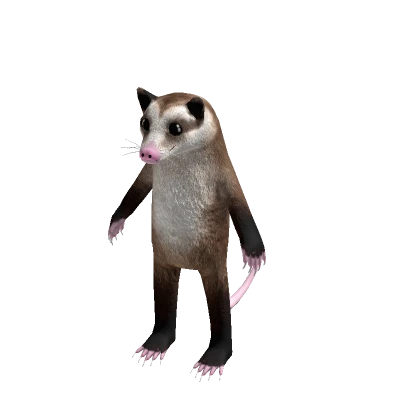 Opossum Suit