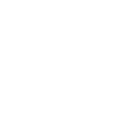 Bat Wing