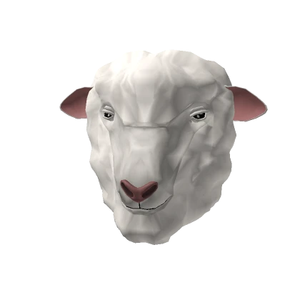 White Sheep Full Head Animal