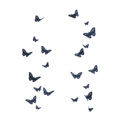 Butterfly Aura 🪦 Emily Corpse Bride Undead
