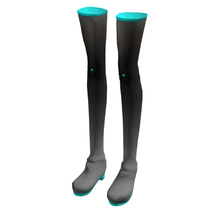 Api Miku Thigh High & Shoes