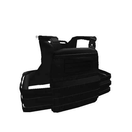 Black RVS Plate Carrier