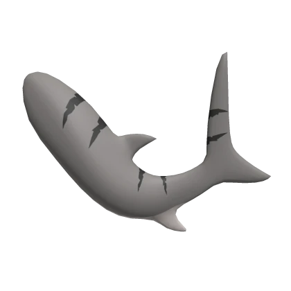 Typical Shark Tail