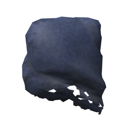 Artorias Cape Shoulder Blue